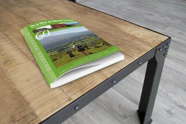Guides touristiques — ASP Édition